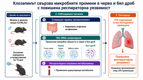 клозапин клозапин