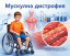 Мускулна дистрофия – симптоми, причини, видове и лечение